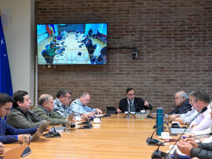 Consejo Regional aprueba importantes recursos para obras de clubes deportivos de Punta Arenas