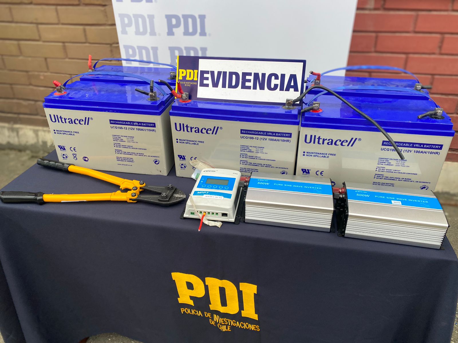 PDI Punta Arenas detiene a dos individuos por robo en bienes nacionales de uso público