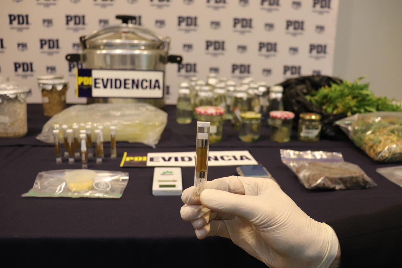PDI Punta Arenas incauta poderoso alucinógeno “DMT” | Un sujeto fue formalizado por tráfico de drogas