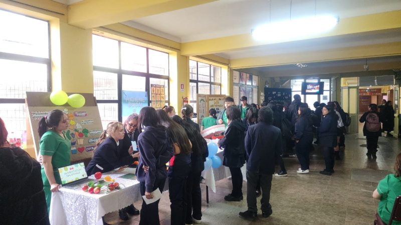 Día Mundial de la Salud en el Liceo Polivalente Sara Braun de Punta Arenas | Actividad desarrollada por las y los estudiantes de la especialidad 