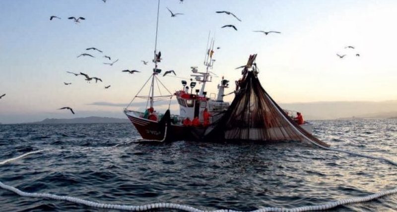 Pescadores artesanales de CONDEPP se reúnen con Subsecretario de Pesca