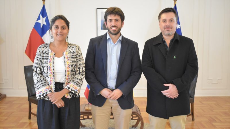 Subsecretaria de Servicios Sociales del MIDESO visita Magallanes