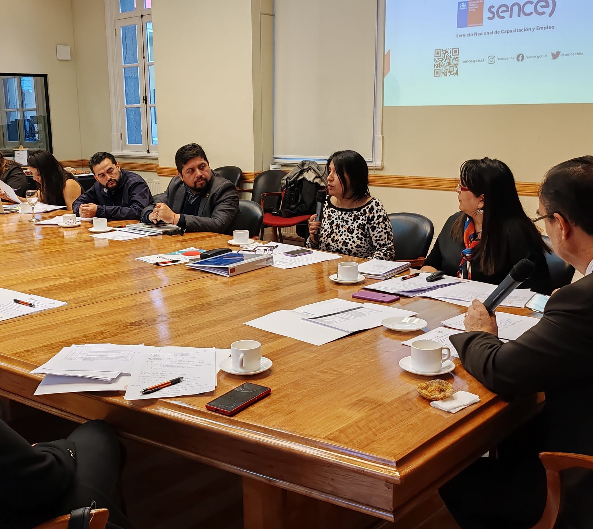 Consejo Regional de Capacitación sesionó en Punta Arenas