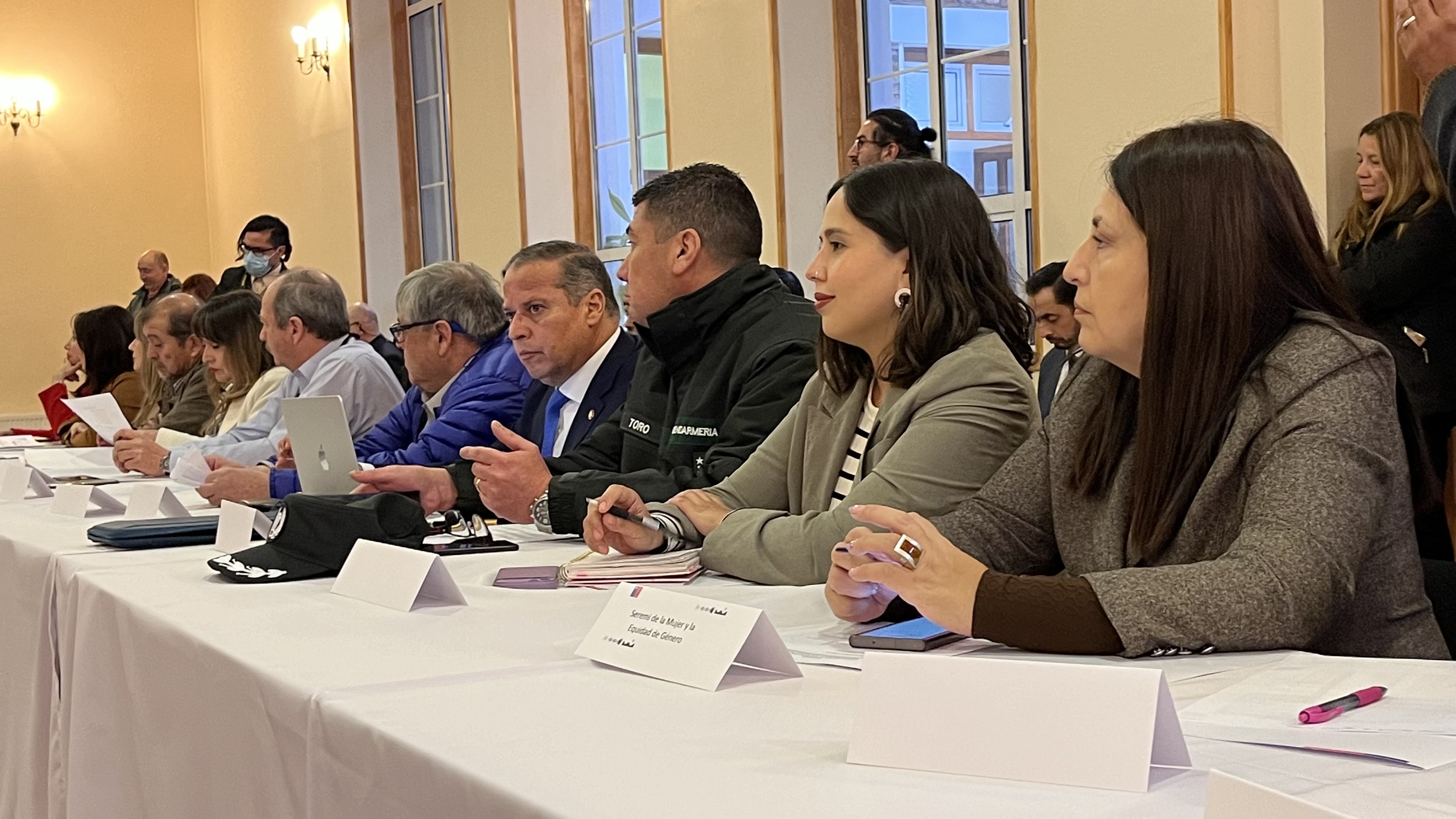 Consejo Regional de Seguridad Pública de Magallanes determinó combatir violaciones y otros delitos sexuales, crímenes y delitos asociados a Ley de Drogas y violencia intrafamiliar