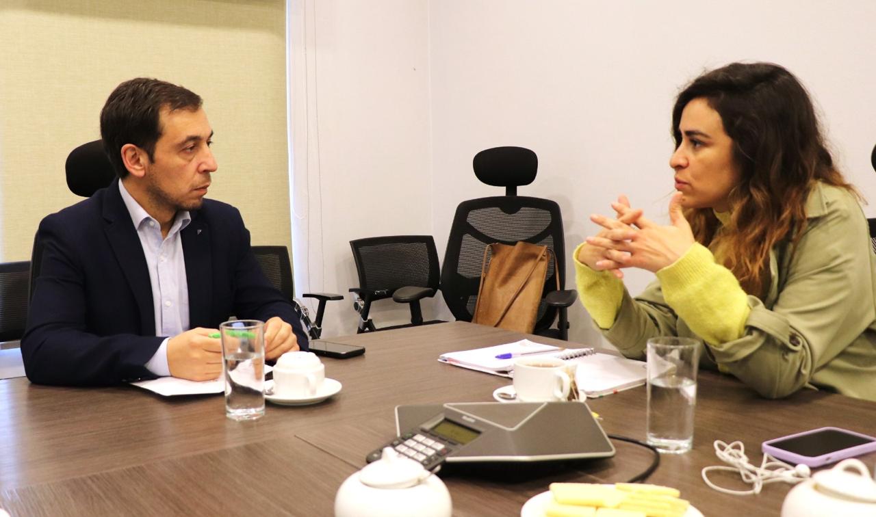Defensoría de la Niñez abriría oficina regional en Magallanes el segundo semestre, anuncia la Diputada Javiera Morales
