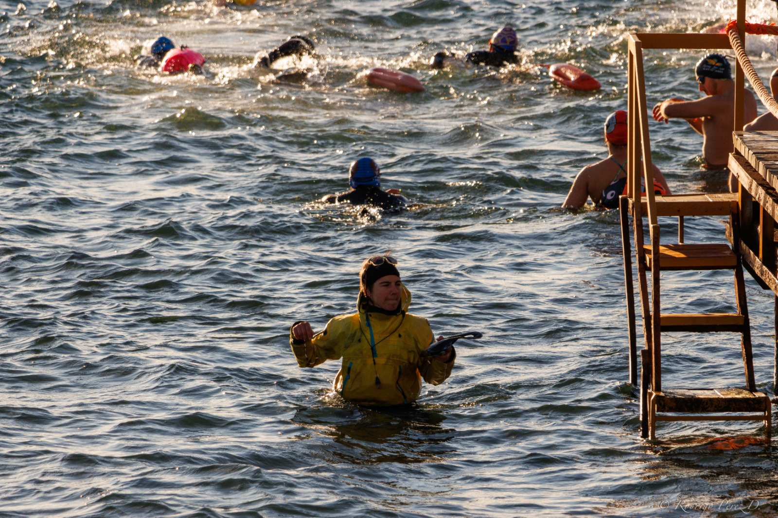 Travesía binacional de Nado en Aguas Abiertas se efectuó en el canal Señoret frente a Puerto Natales | Participaron 84 nadadores y nadadoras de Argentina y Chile