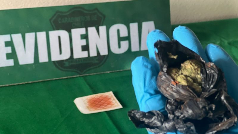 Primer detenido por porte de drogas en Puerto Williams  Gracias al olfato del can Golfo de la sección O.S.7 de Punta Arenas