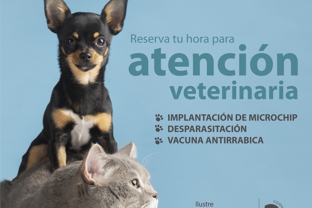 Operativo de atención veterinaria realiza el Municipio de Punta Arenas