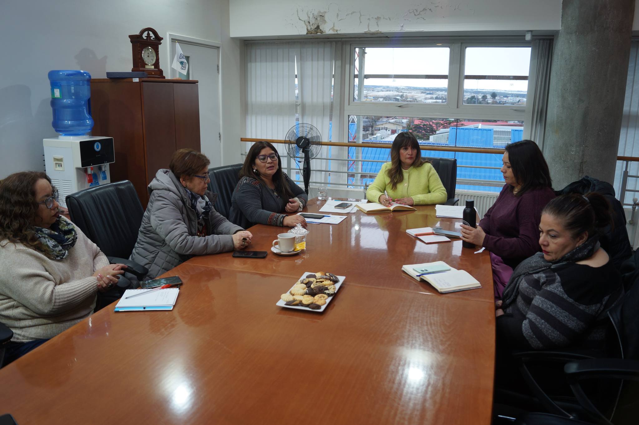Alcaldesa Antonieta Oyarzo sobre cierre de Pasos Fronterizos: “Es una situación insólita, no es posible que no exista ningún paso fronterizo habilitado”
