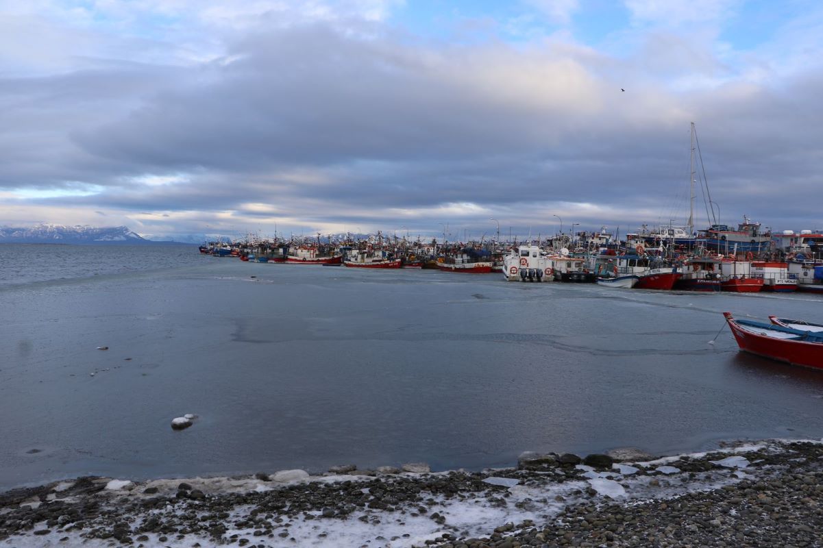 Avanza proyecto en la Caleta de Pescadores de Puerto Natales con mejoras para alrededor de 480 embarcaciones del sector