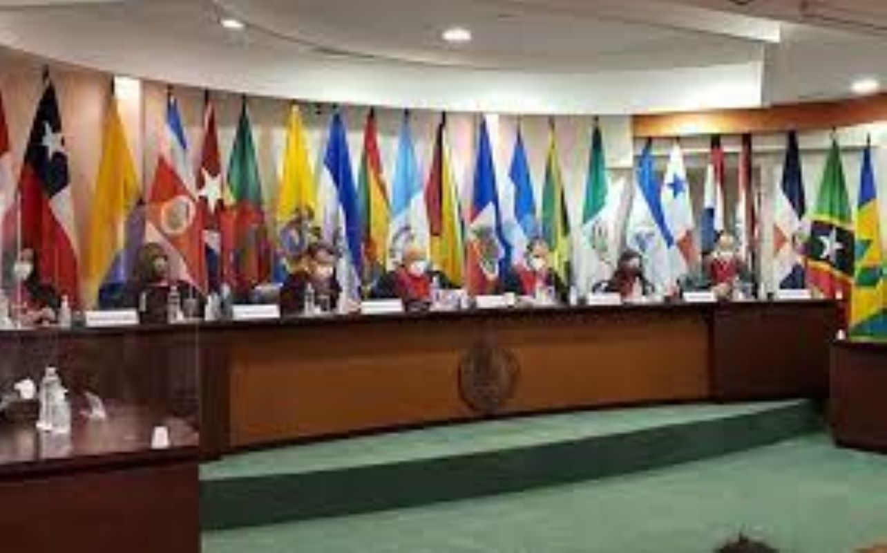 CIDH y ONU Derechos Humanos: El Congreso Nacional chileno debe respetar las normas de derechos humanos en materia de seguridad