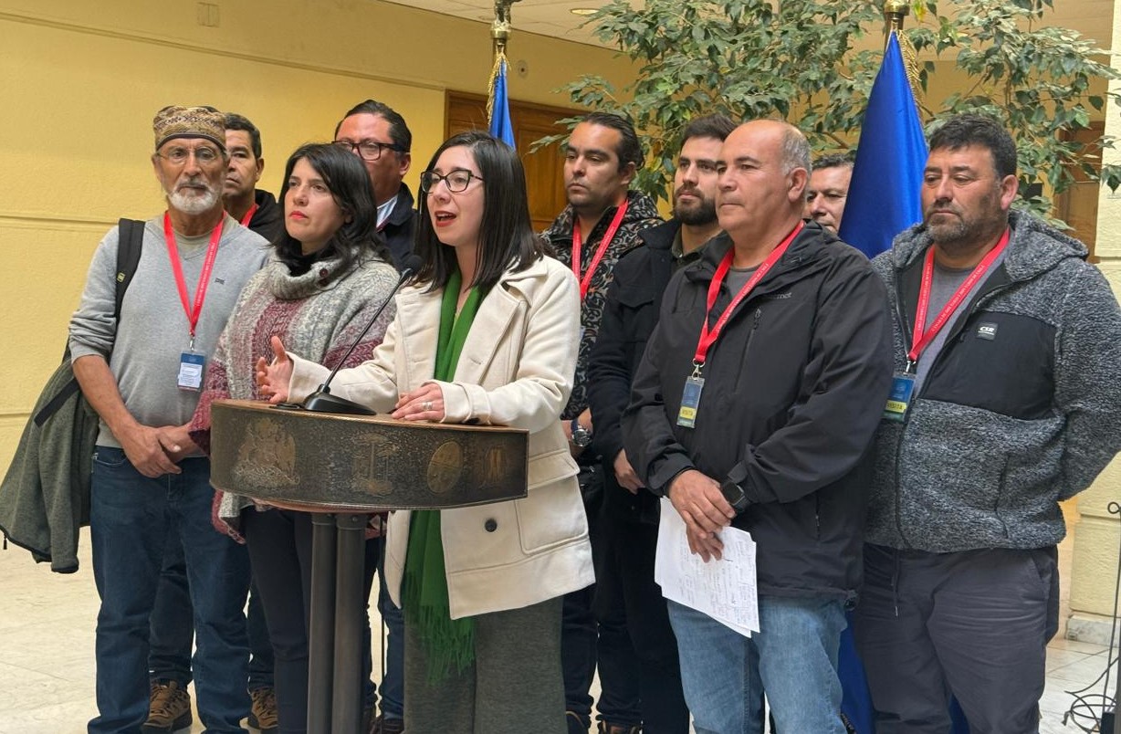 Alianza Nacional por la Defensa de la Pesca Artesanal se reúne con Subsecretario de Pesca y parlamentarios