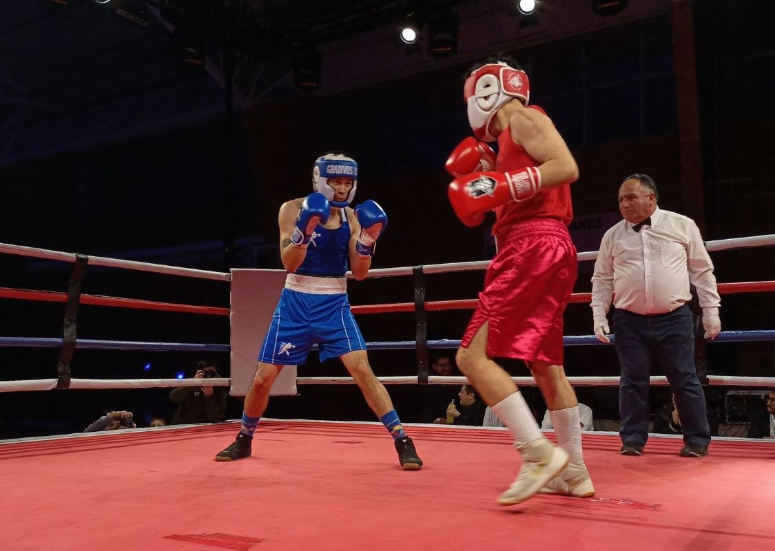 Campeonato Comunal de Boxeo se realizó en Punta Arenas este fin de semana