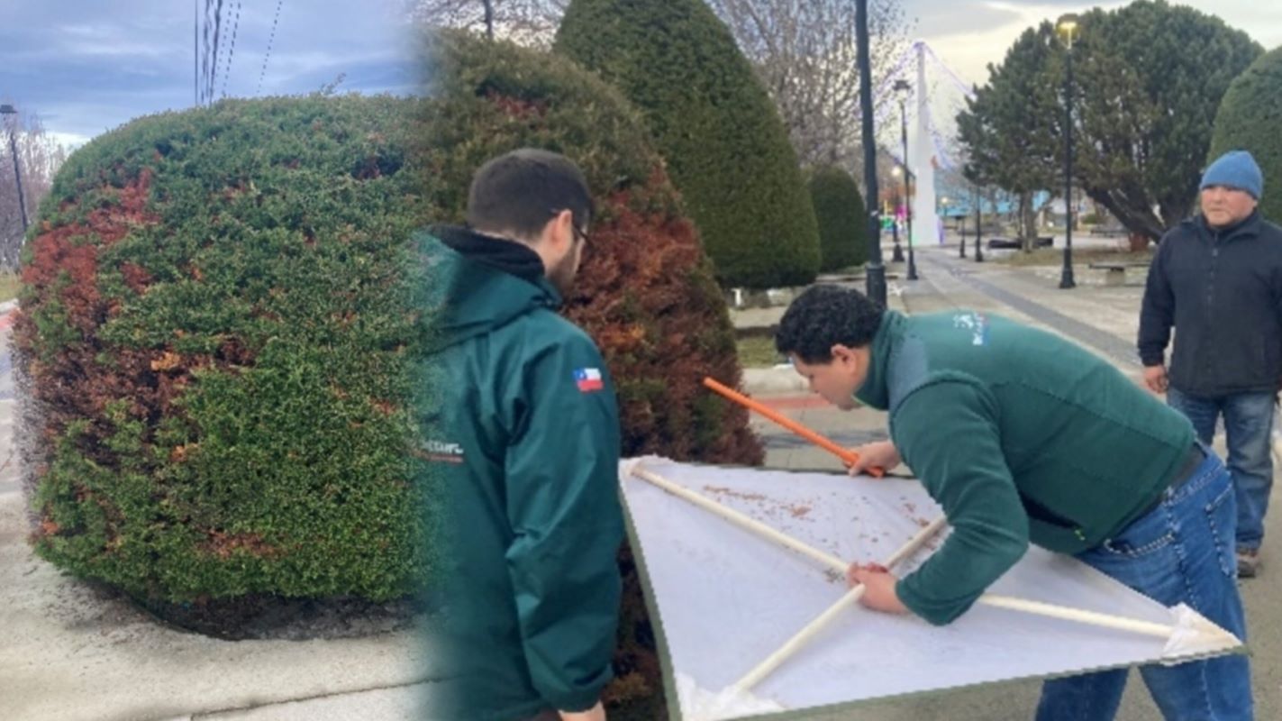 Municipalidad de Porvenir y Servicio Agrícola y Ganadero, unidos en la protección de áreas verdes de la comuna