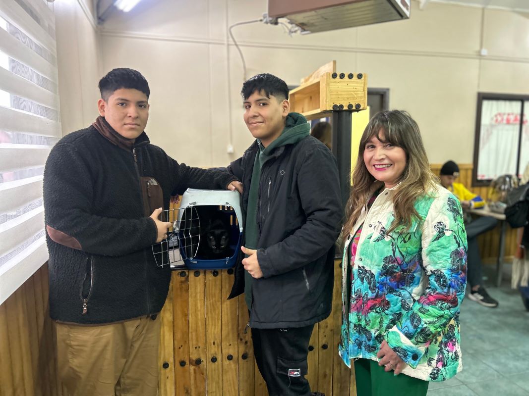 Municipalidad de Puerto Natales inició operativo gratuito de vacunación y desparasitación de mascotas| Se logrará vacunar a cerca de 600 perros y gatos
