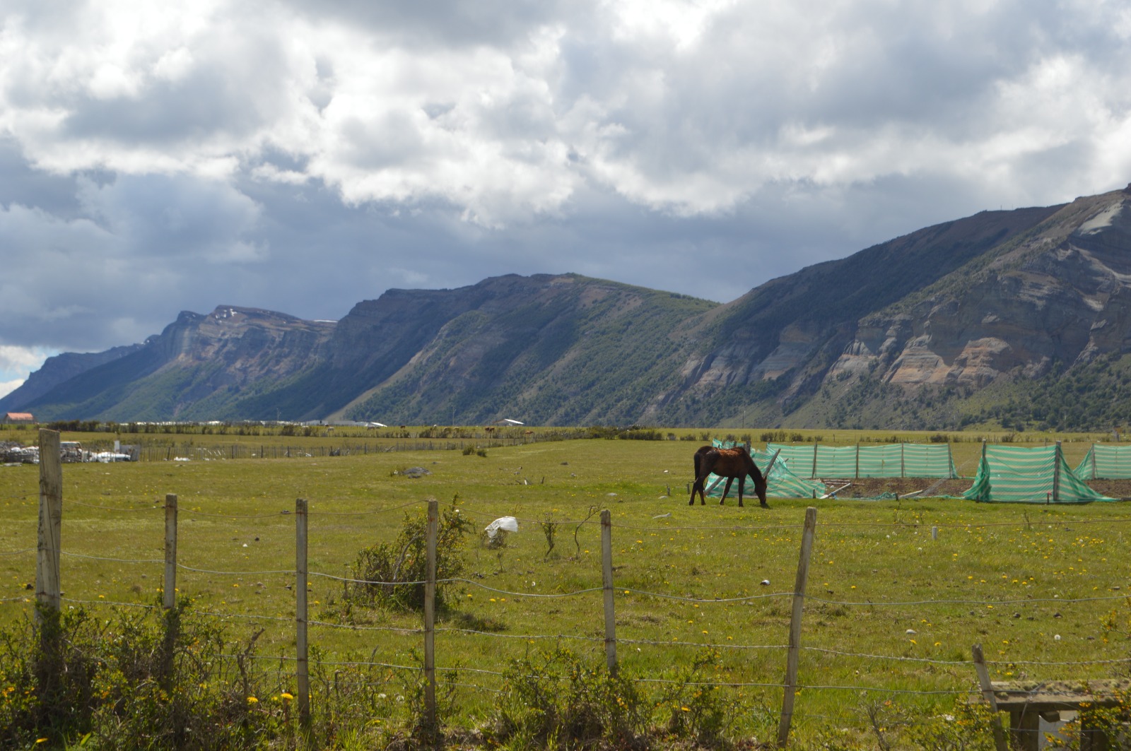 Más de cuatro mil hectáreas están concesionadas por Bienes Nacionales en Magallanes para iniciativas sociales y de conservación