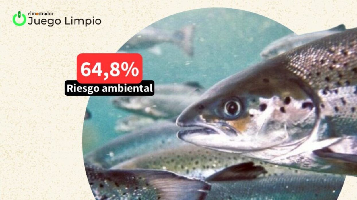 La publicidad y el llamado del Washington Post a no consumir salmón chileno