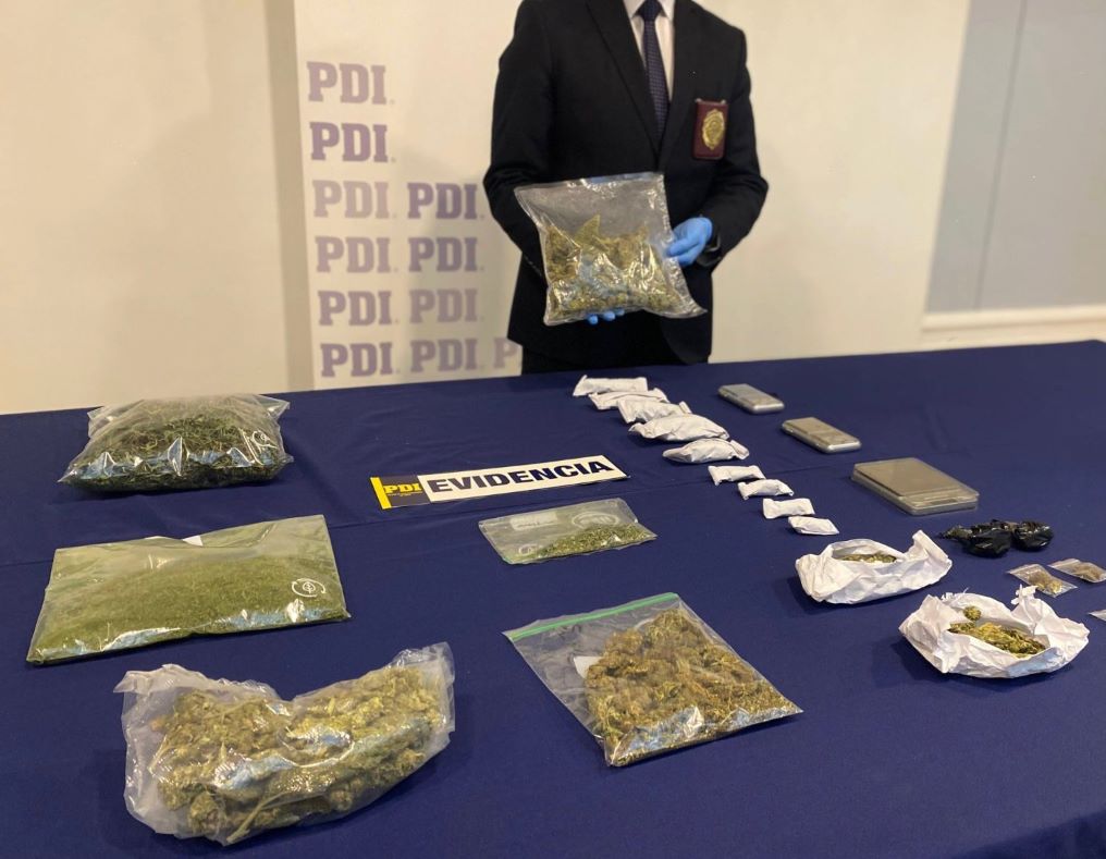 PDI Punta Arenas incauta más de 7 millones de pesos en Cannabis Sativa