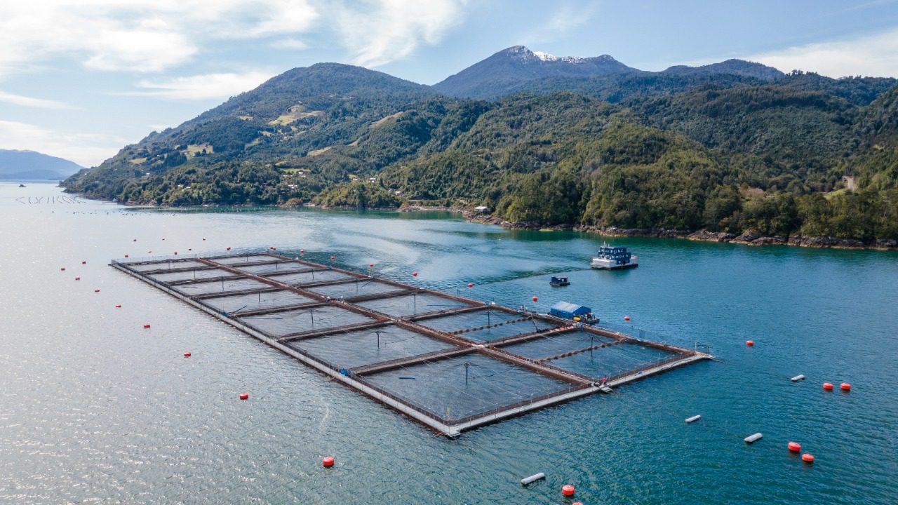 Subsecretaría de Pesca inicia etapa participativa de cara a una Ley General de Acuicultura | Hasta el 31 de octubre