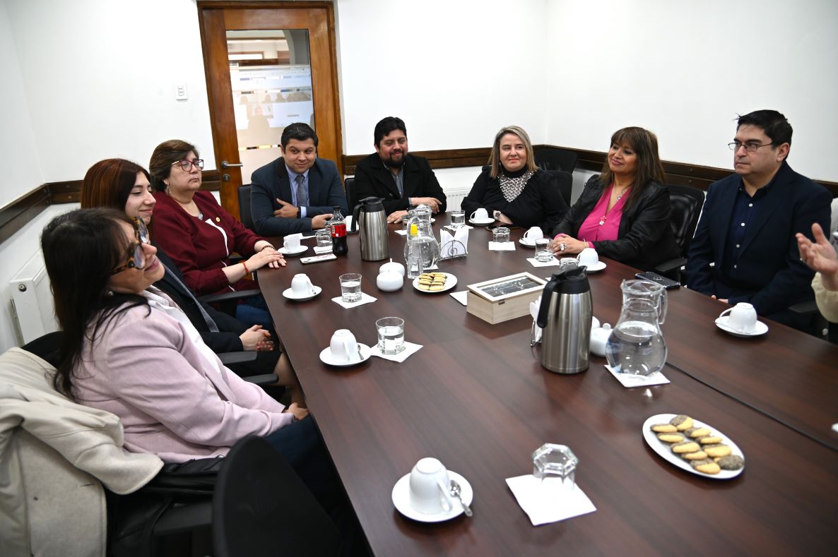 SLEP Magallanes presentó a los integrantes del primer Consejo Local de Educación Pública