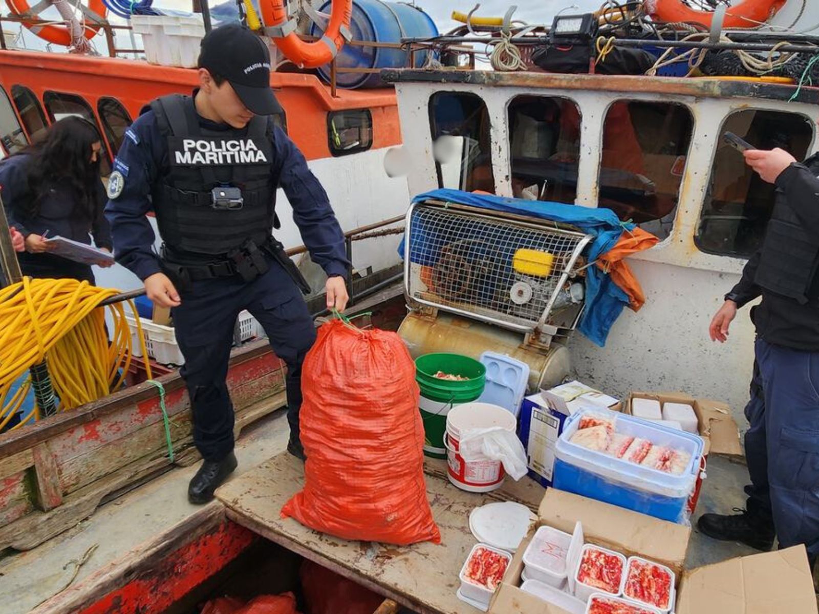Sernapesca incauta casi una tonelada de centolla procesada ilegalmente en Puerto Natales