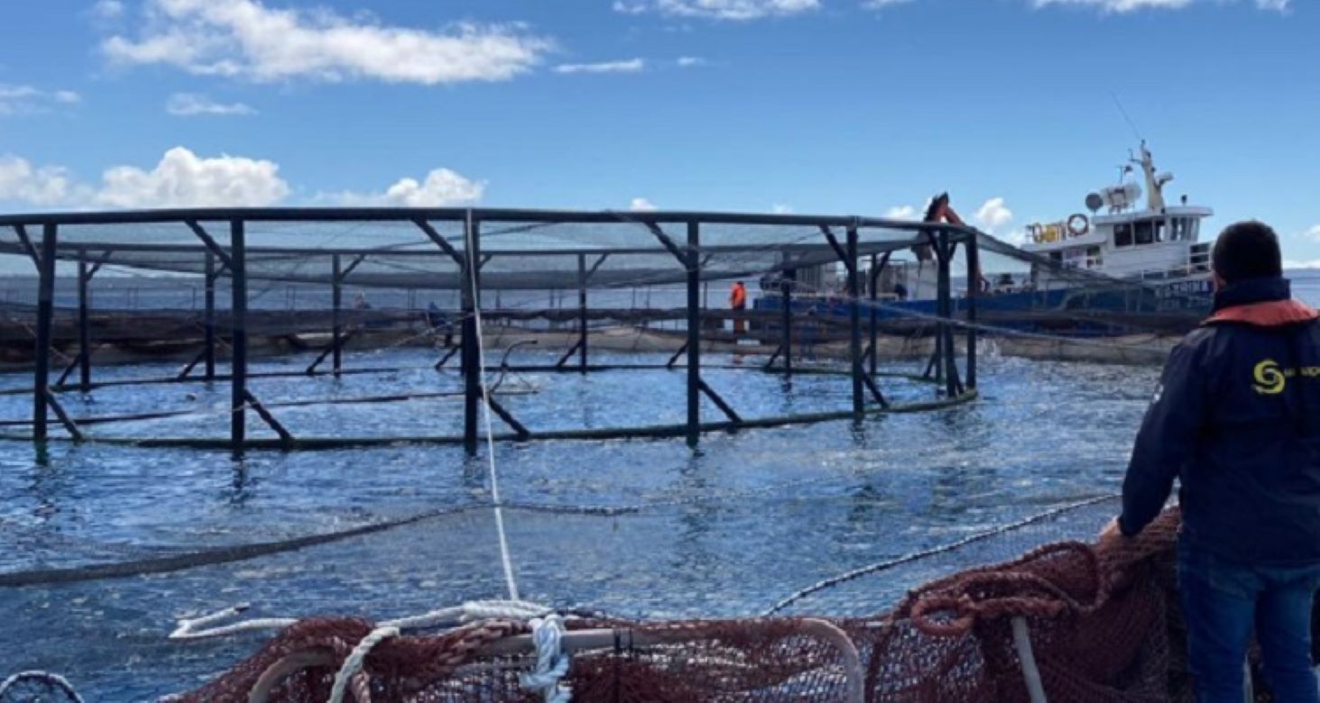 Contraloría identifica fallas en la gestión de concesiones acuícolas | SERNAPESCA ajusta procedimientos y concluye revisión de 646 casos de posibles caducidades