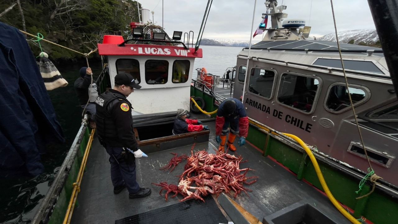 Armada decomisó cerca de 60 kilos de centolla en operativo de fiscalización en el Distrito Naval Beagle