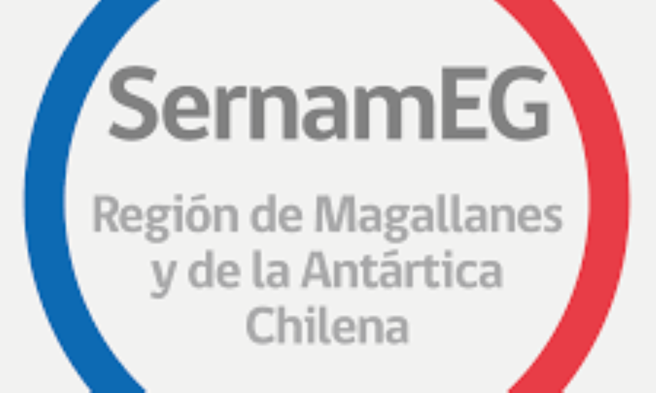 SERNAMEG Magallanes representará a víctima de femicidio frustrado en Punta Arenas