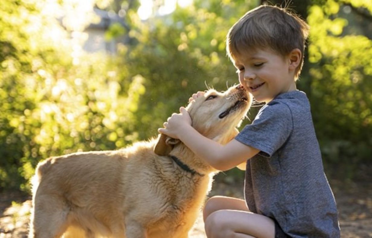 Es fundamental generar tenencia responsable de mascotas | Juan Salvador Miranda