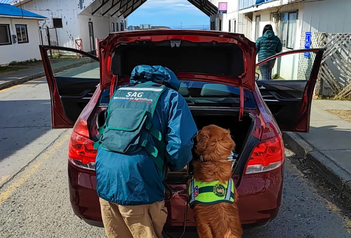 Si viajas al extranjero en Fiestas Patrias, no olvides estas recomendaciones de SAG Magallanes