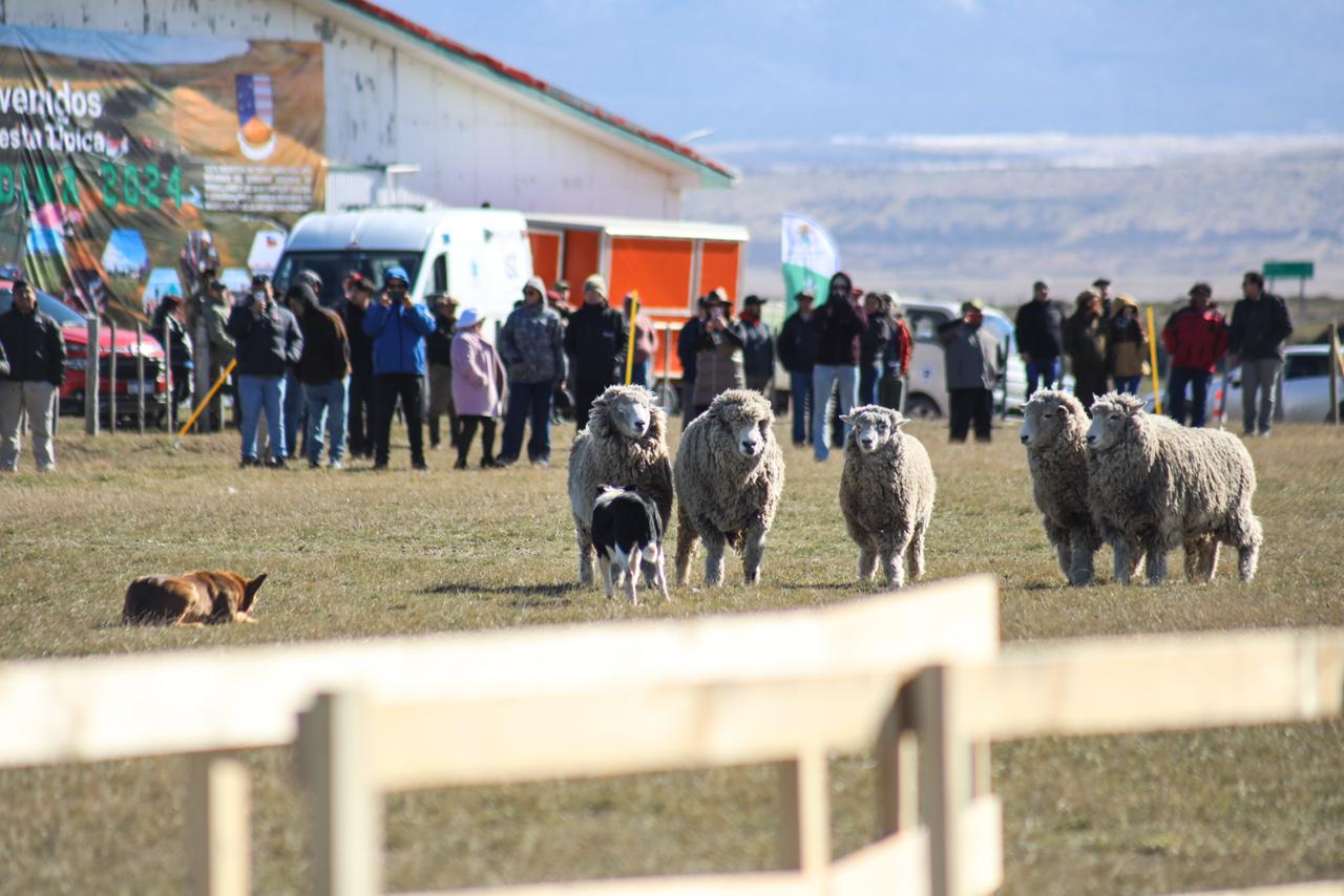 Fiesta típica patagónica 2024 se realizó en Río Verde