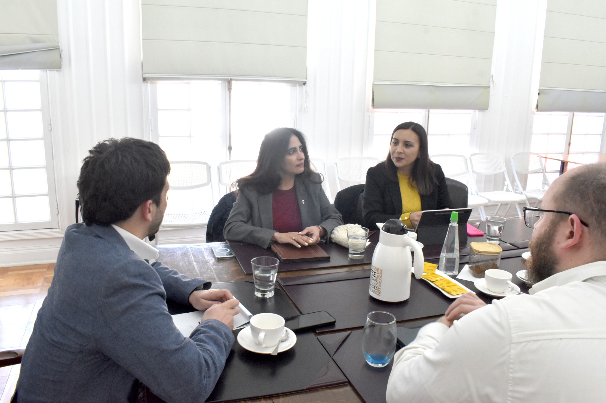 Subsecretaria de Relaciones Económicas Internacionales de la Cancillería se reunió con el Delegado Presidencial José Ruiz Pivcevic