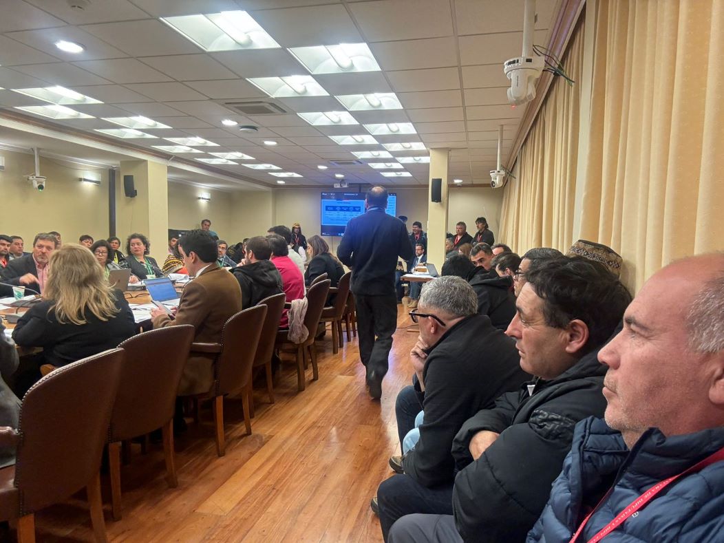 Pescadores artesanales valoran nuevo fraccionamiento del recurso sardina y anchoveta, aunque con reparos en jurel
