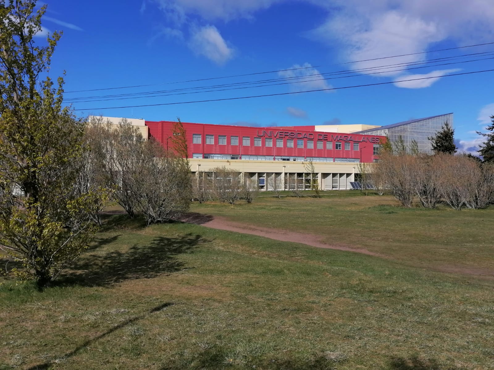 Tercera Sala de la Corte Suprema dispone retrotraer despidos y reintegrar académicos de la Universidad de Magallanes