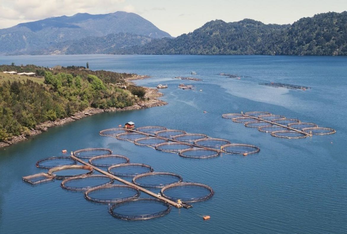 Científicos y conservacionistas solicitan a líderes mundiales detener actividades industriales en áreas protegidas: Patagonia chilena en el llamado de alerta