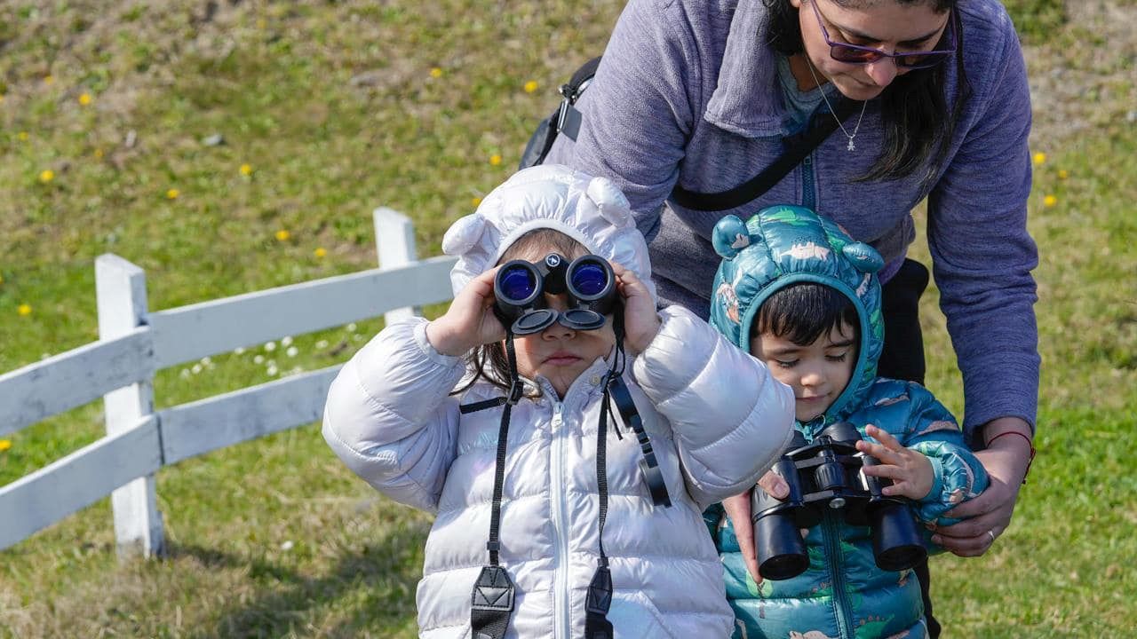 Día Internacional de las Aves y la Naturaleza fue conmemorado en Cabo de Hornos