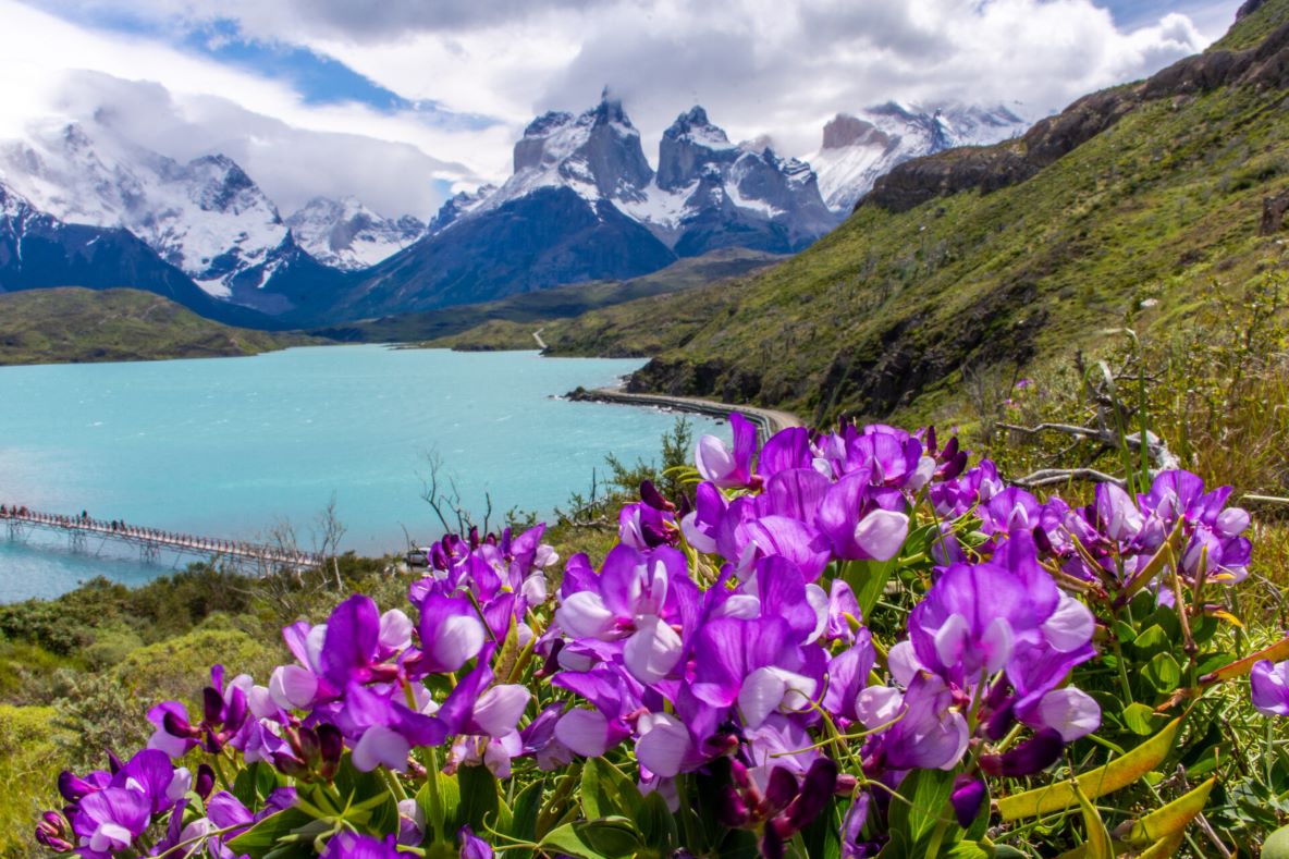 Estudio destaca al Parque Nacional Torres del Paine como líder en recuperación turística y con desafíos pendientes en cifras oficiales y promoción internacional