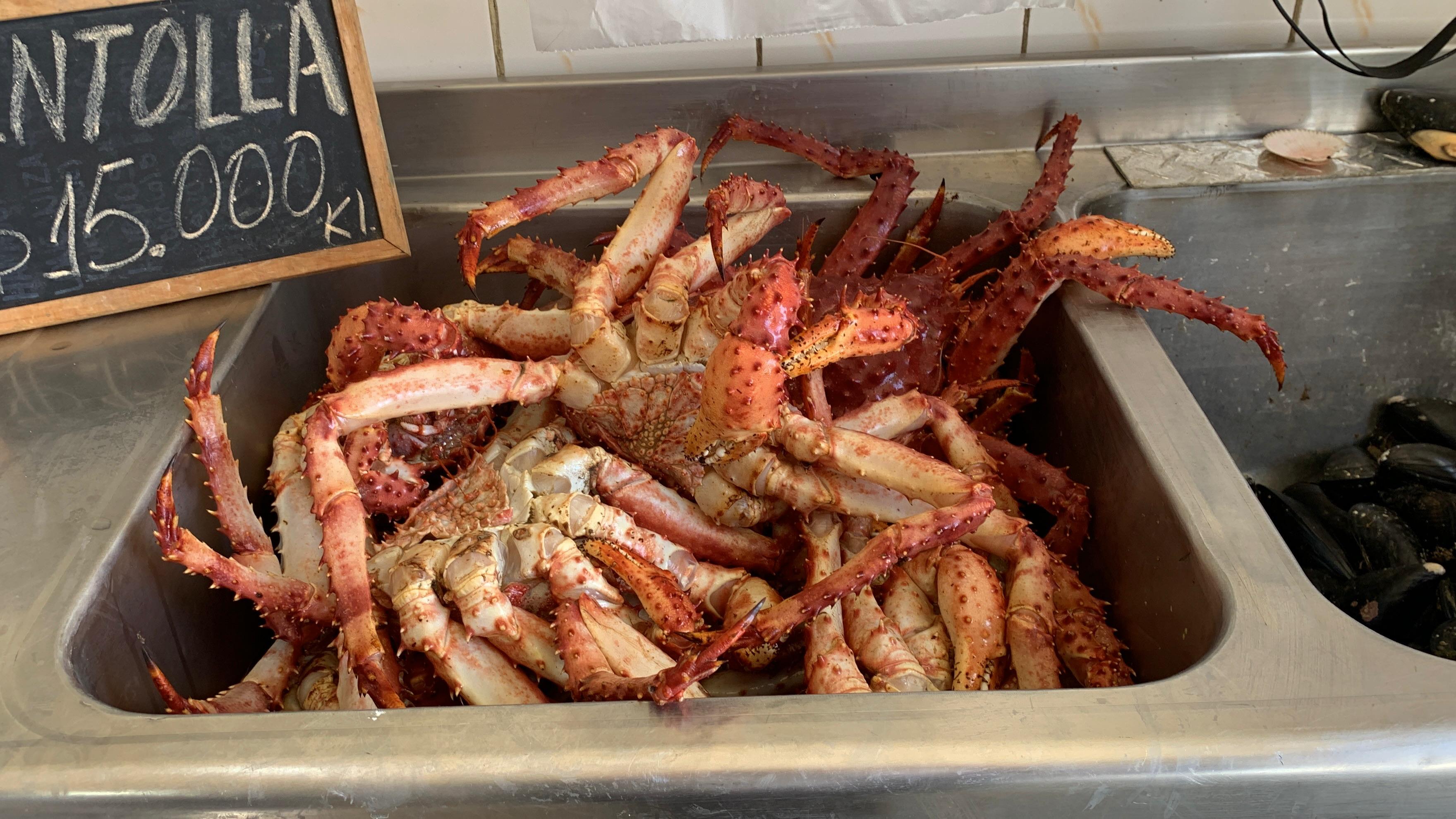 Se iniciará periodo de veda biológica de la centolla