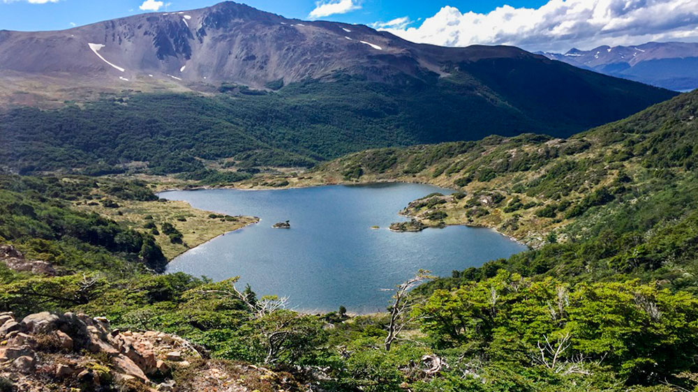 Desde Magallanes inédito proyecto de conservación y restauración de suelos contribuirá a mitigar el cambio climático | Respira Patagonia