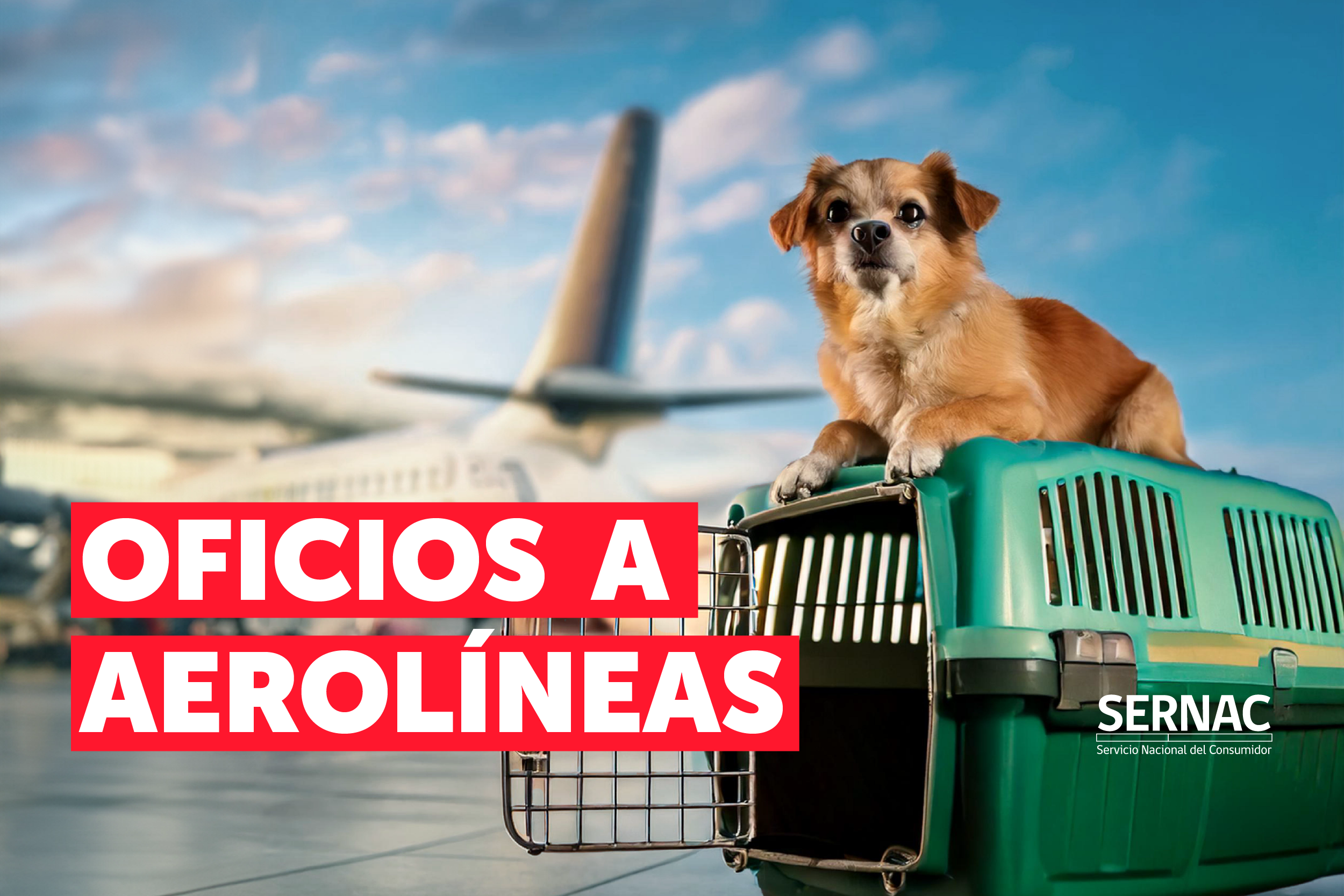 SERNAC oficia a empresas para conocer protocolos y servicios asociados