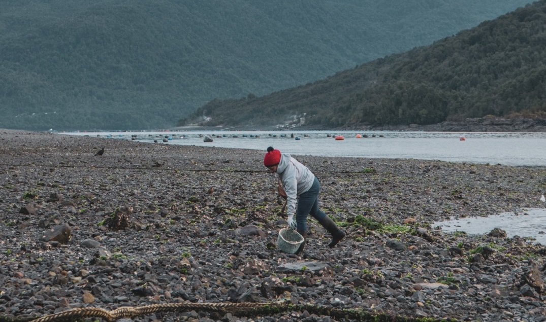 Organismo ONU reconoce a Ley de Espacios Costeros por su contribución a los océanos y derechos humanos