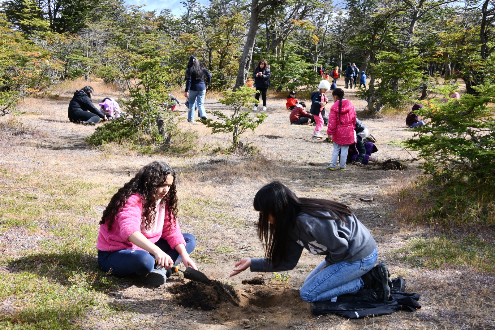 Niños de las colonias municipales ayudaron a reforestar