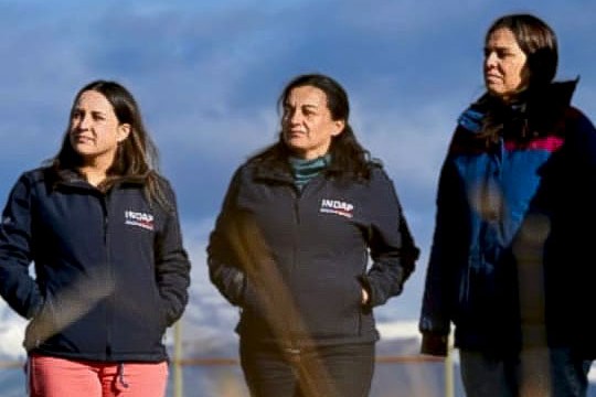 Mujeres al frente: la agencia de INDAP Puerto Natales destaca por su liderazgo femenino