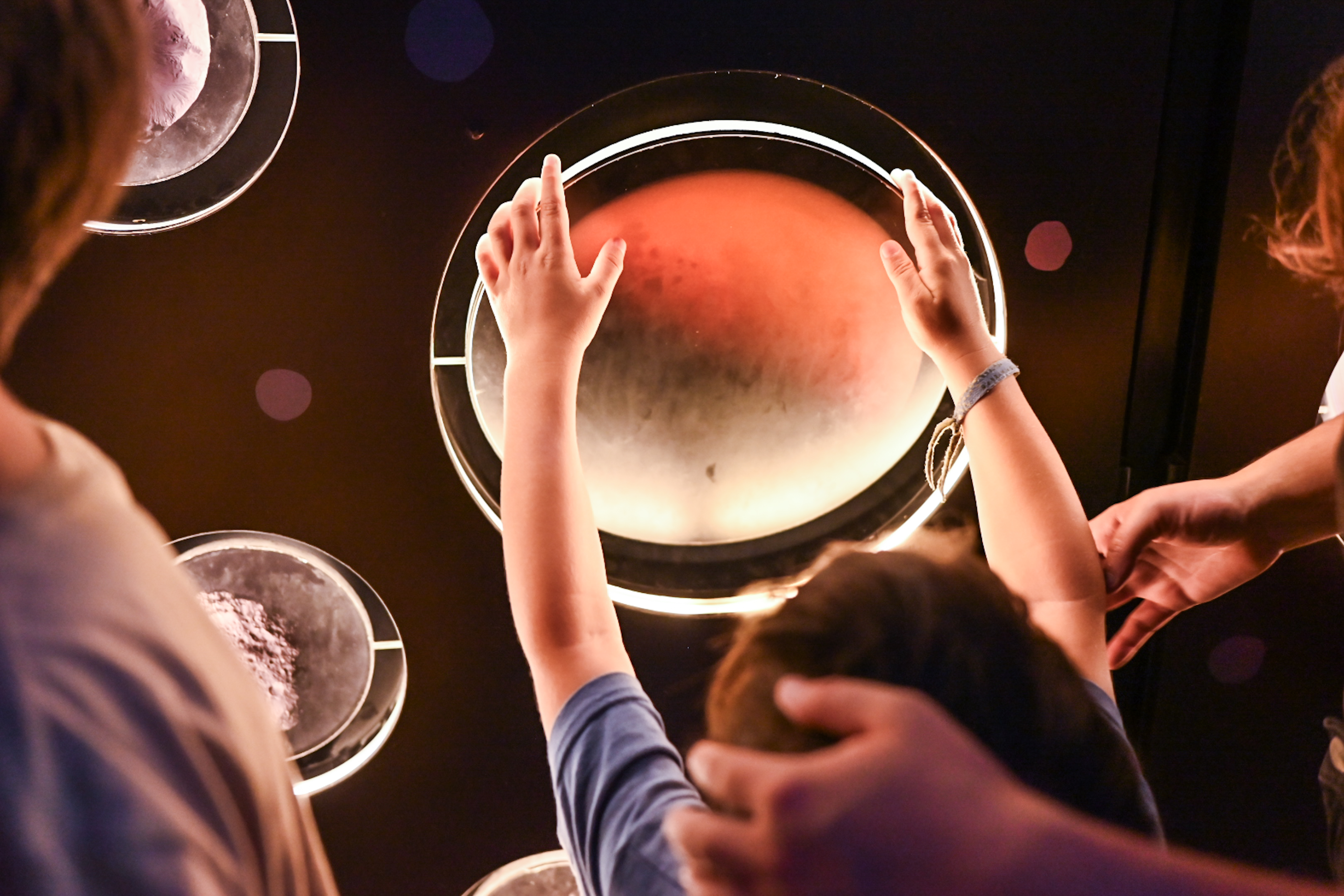 Con la charla “Captura la Magia del Cielo Nocturno Austral” se celebrará el Día de la Astronomía