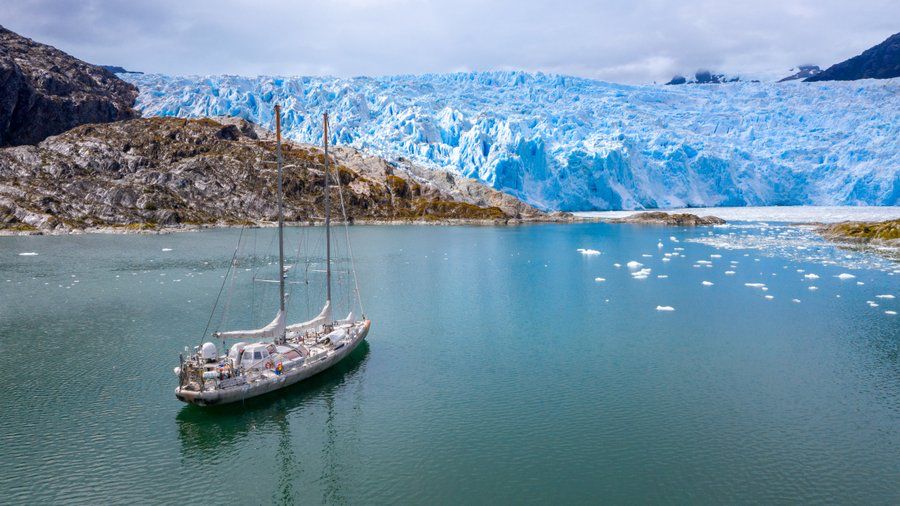 Punta Arenas será epicentro internacional de la genómica oceánica con taller