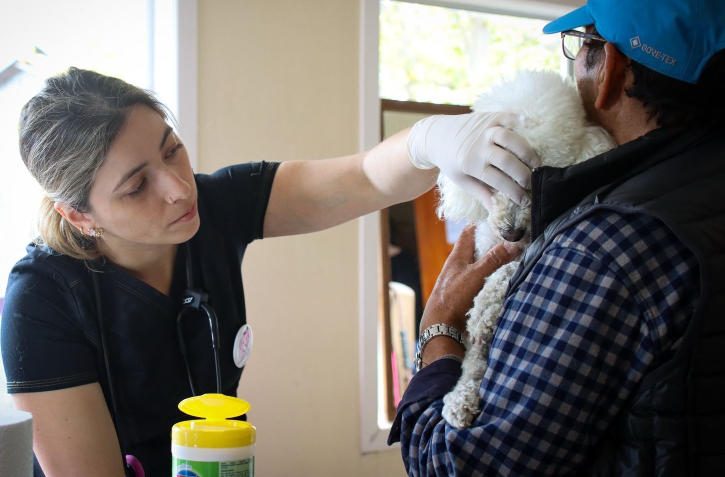 Subdere entrega recursos a organizaciones que promueven el bienestar animal en Magallanes