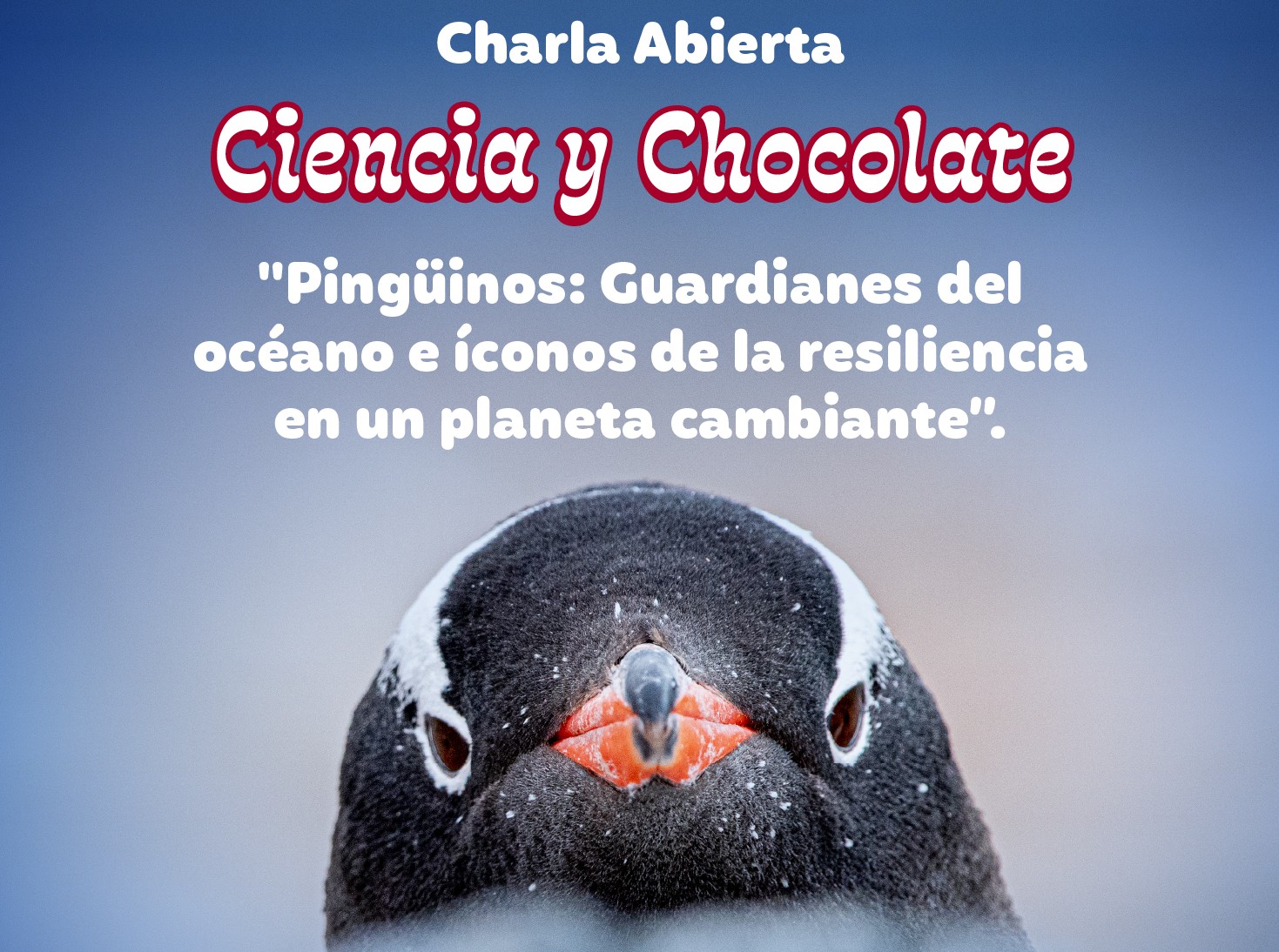INACH invita a nueva charla de “Ciencia y Chocolate” sobre la importancia de los pingüinos antárticos