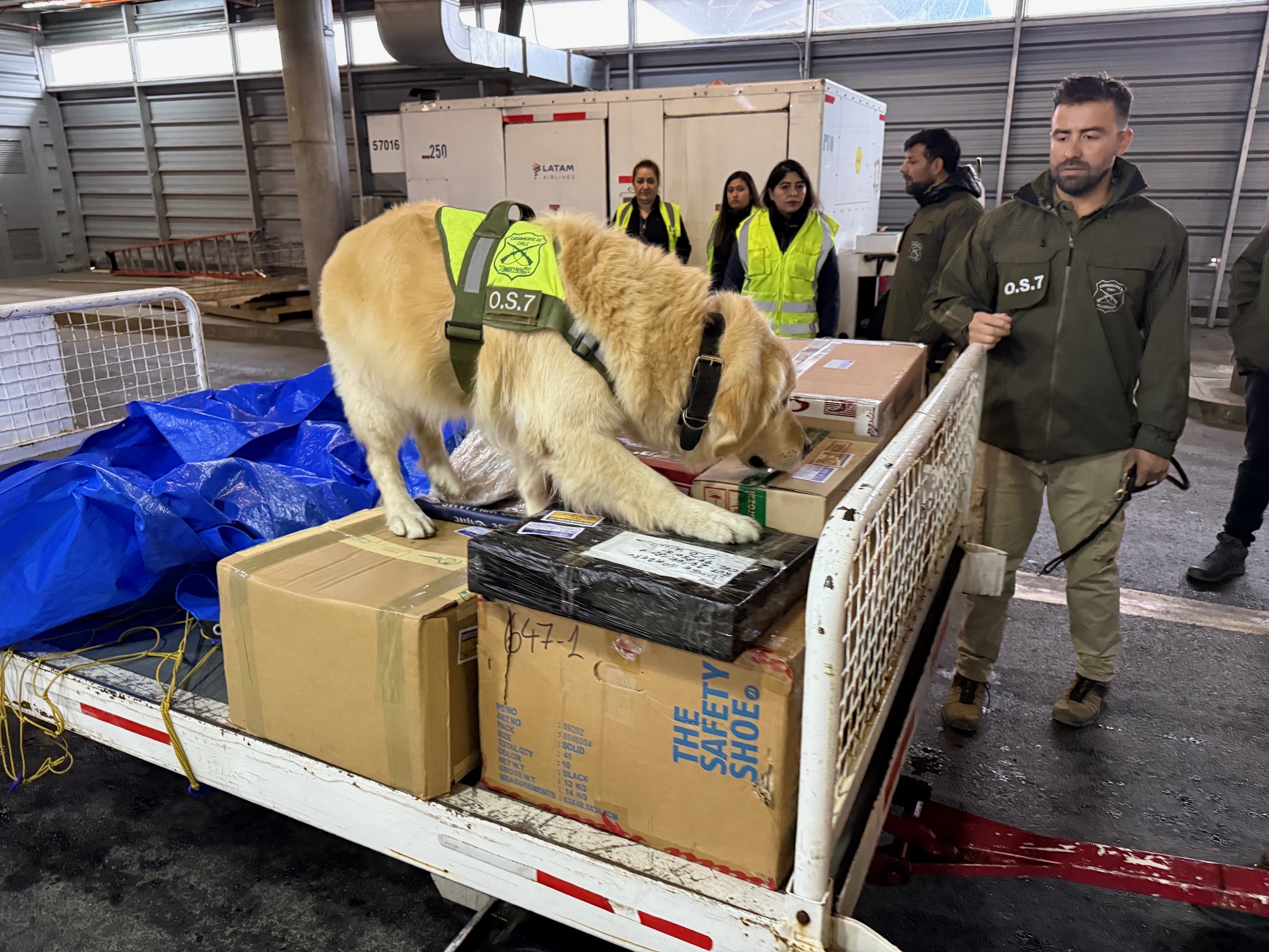 Seremi de Seguridad Pública (i) lidera operativo de fiscalización en el aeropuerto de Punta Arenas