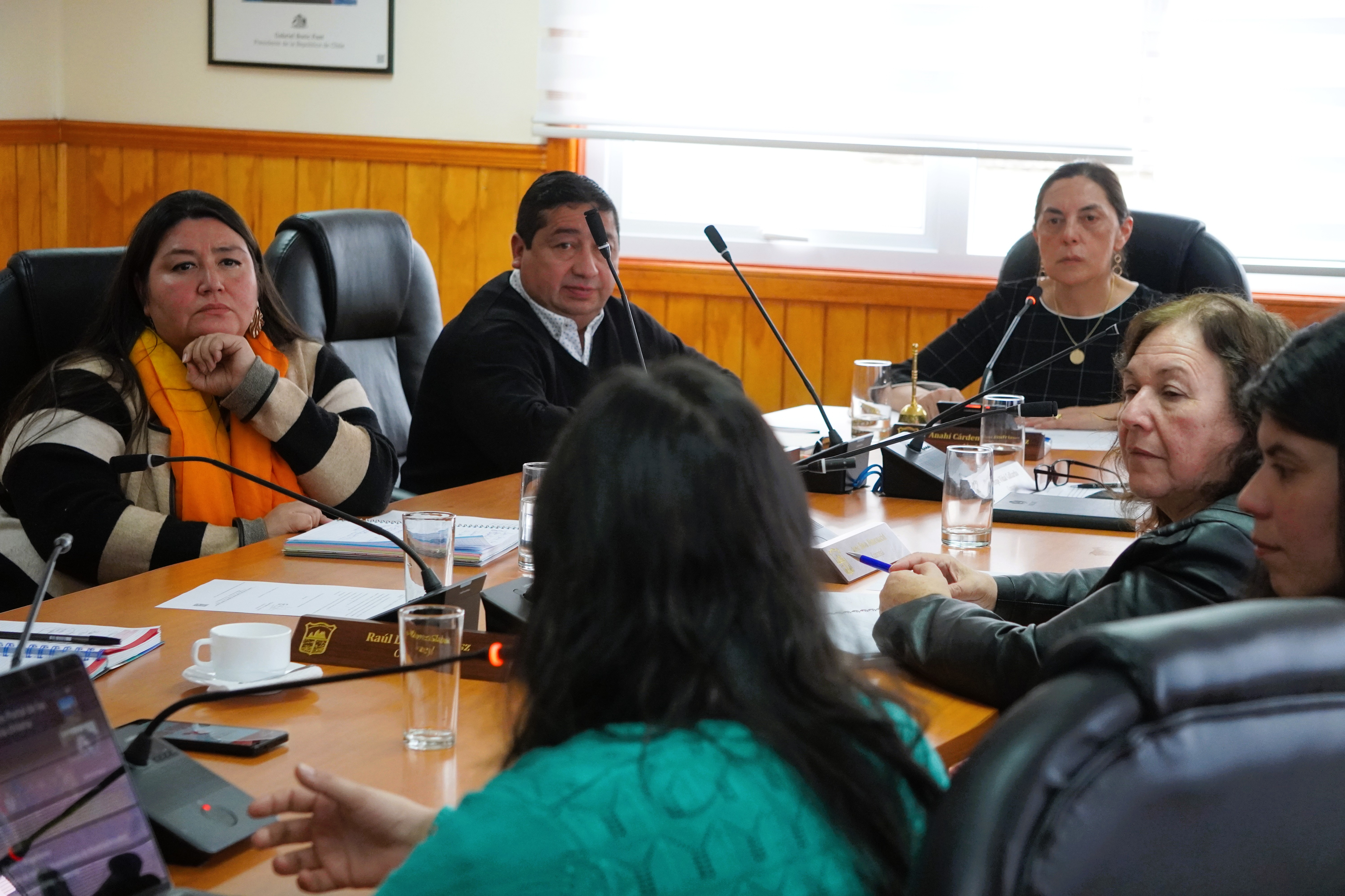 Comienza la construcción del Plan de Acción de Comunidades Portal de Torres del Paine con presentación ante el Concejo Municipal