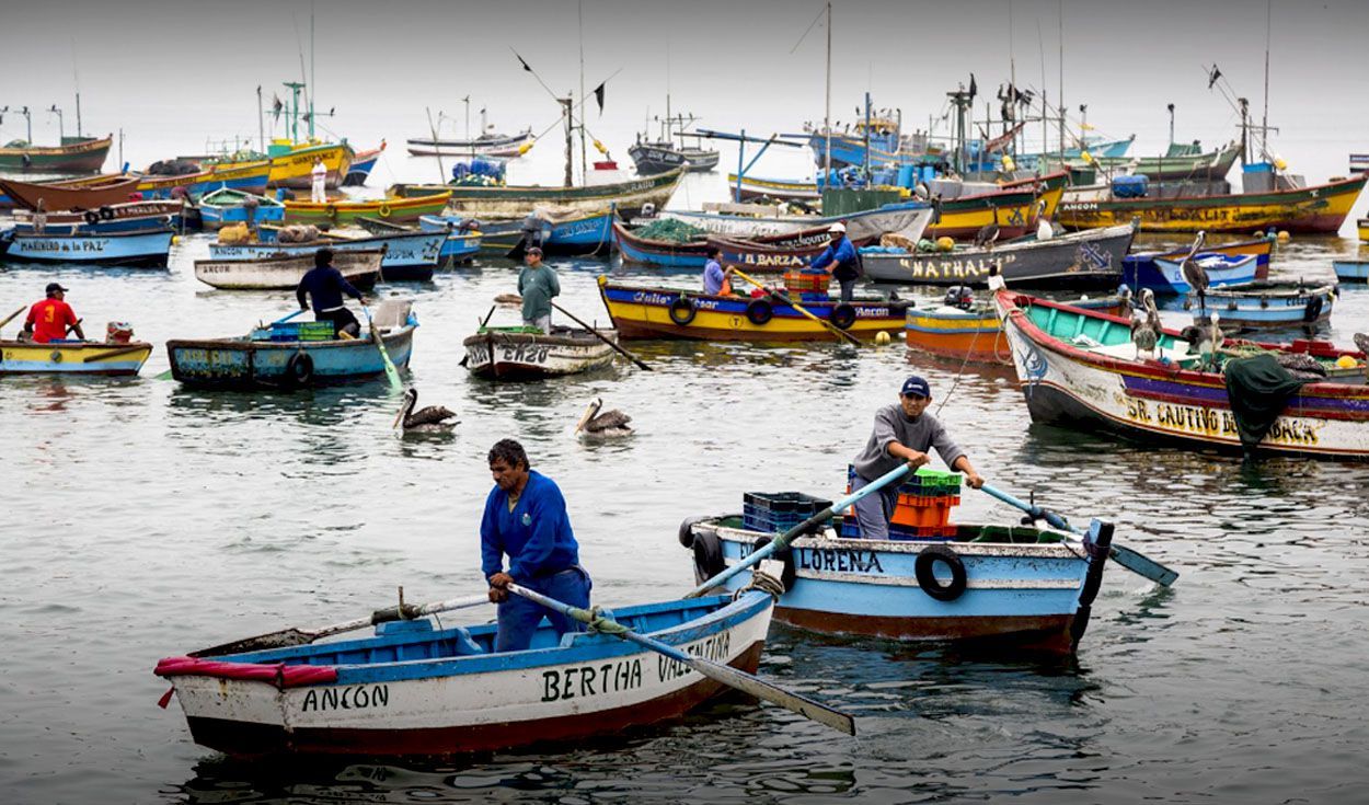 Artesanales pide al Presidente Boric plataforma social por la pesca artesanal